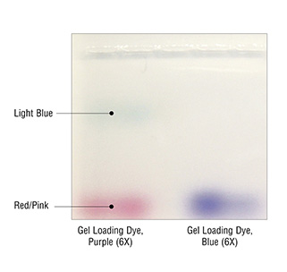 Comparison of dye fronts