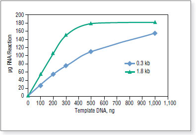 Figure 3. Effect of template amount on RNA yield 