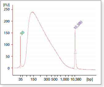 Figure 1: Relative size distribution of Fragmented End Repaired DNA as seen using the Bioanalyzer® 2100 (Agilent Technologies, Inc.).