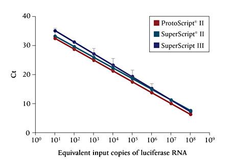 Quantitative detection of reverse transcription products using the ProtoScript II First Strand cDNA 