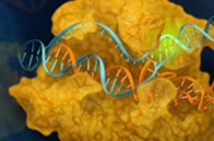 Biotech_GenomeEditing