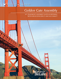 Golden_Gate_Assembly_trifold_thumb