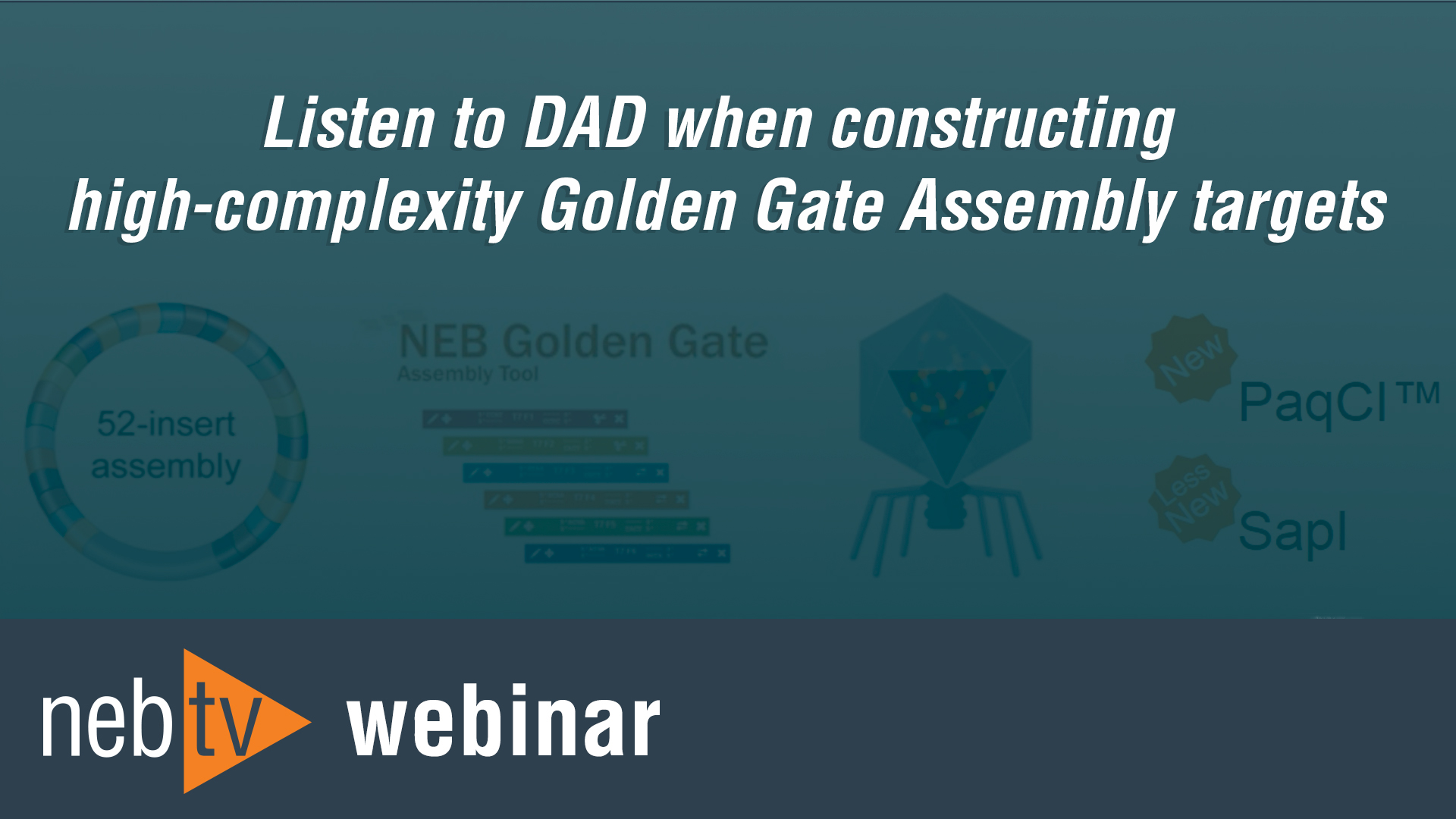 high complexity golden gate assembly targets