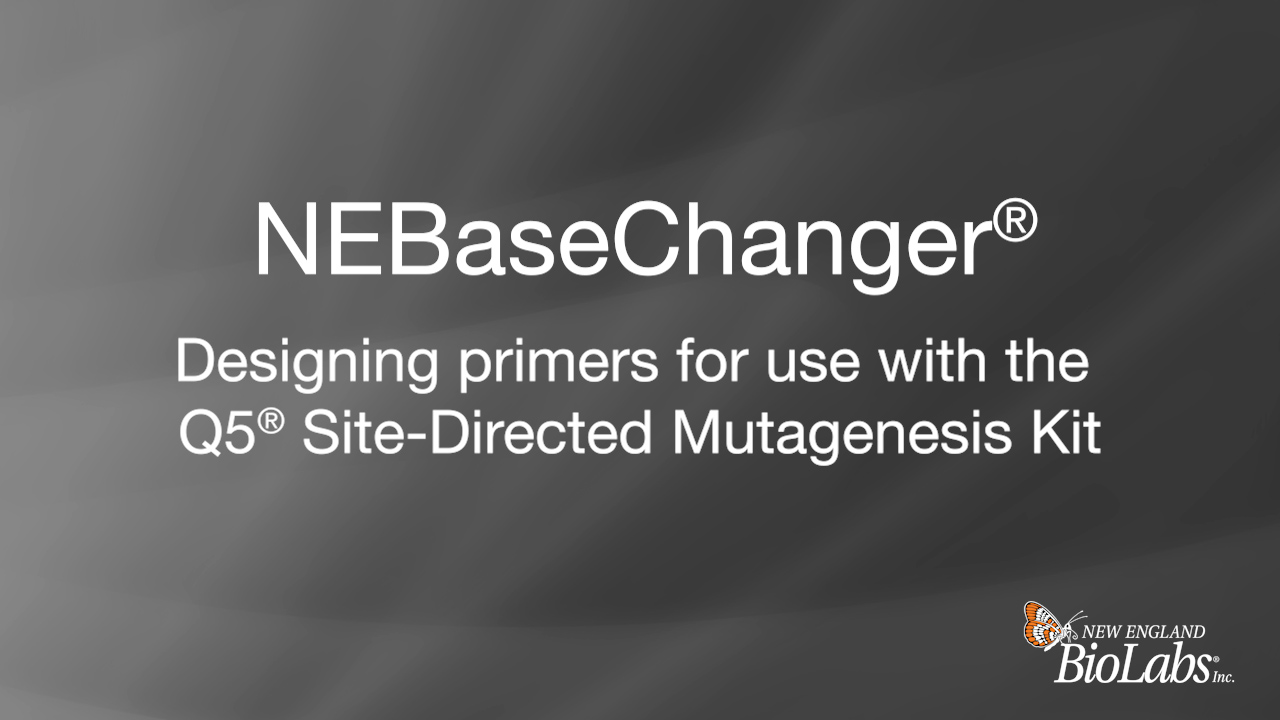 NEBaseChanger®: Designing primers for use with the Q5® Site-Directed Mutagenesis Kit