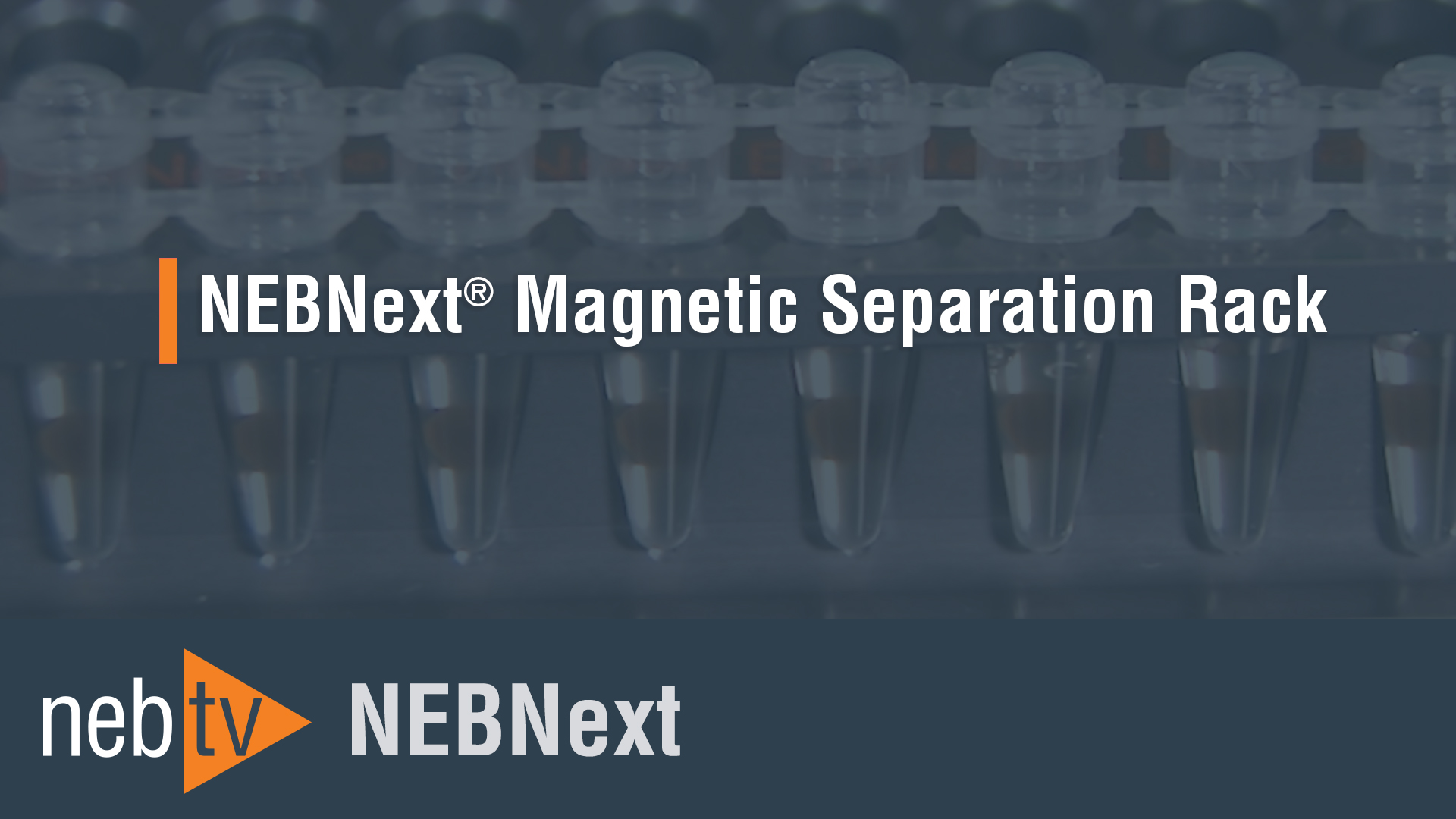 NEBTV_MagneticSeparationRack_1920