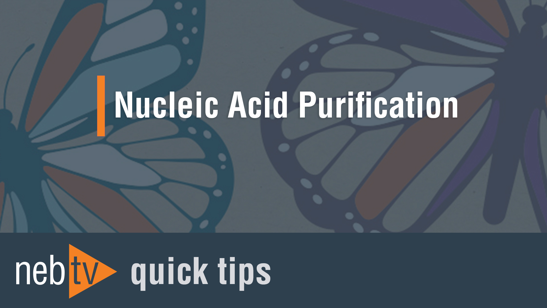 NEBTV_Nucleic-Acid-Purificatio_1920
