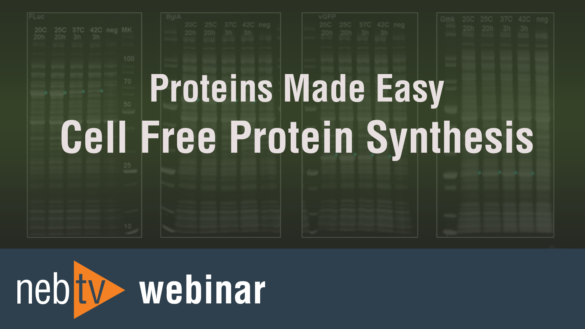 NEBTV_Proteins-Made-Easy-Cell-Free-Protein-Synthesis_3