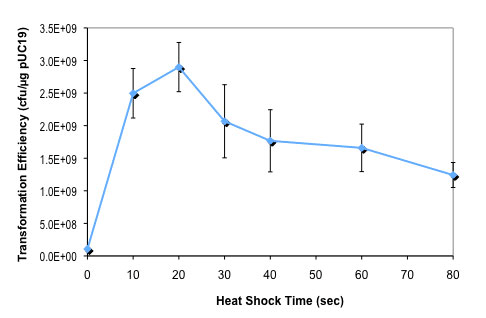 Effect of heat shock time on NEB Express Iq competent E. coli transformation efficiency: 
