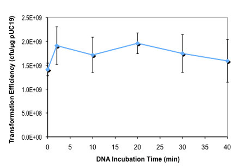 Effect of DNA incubation time on NEB Turbo competent E.coli transformation efficiency: