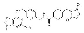Figure 1: Structure of BG-Maleimide (MW 489.5 g/mol)